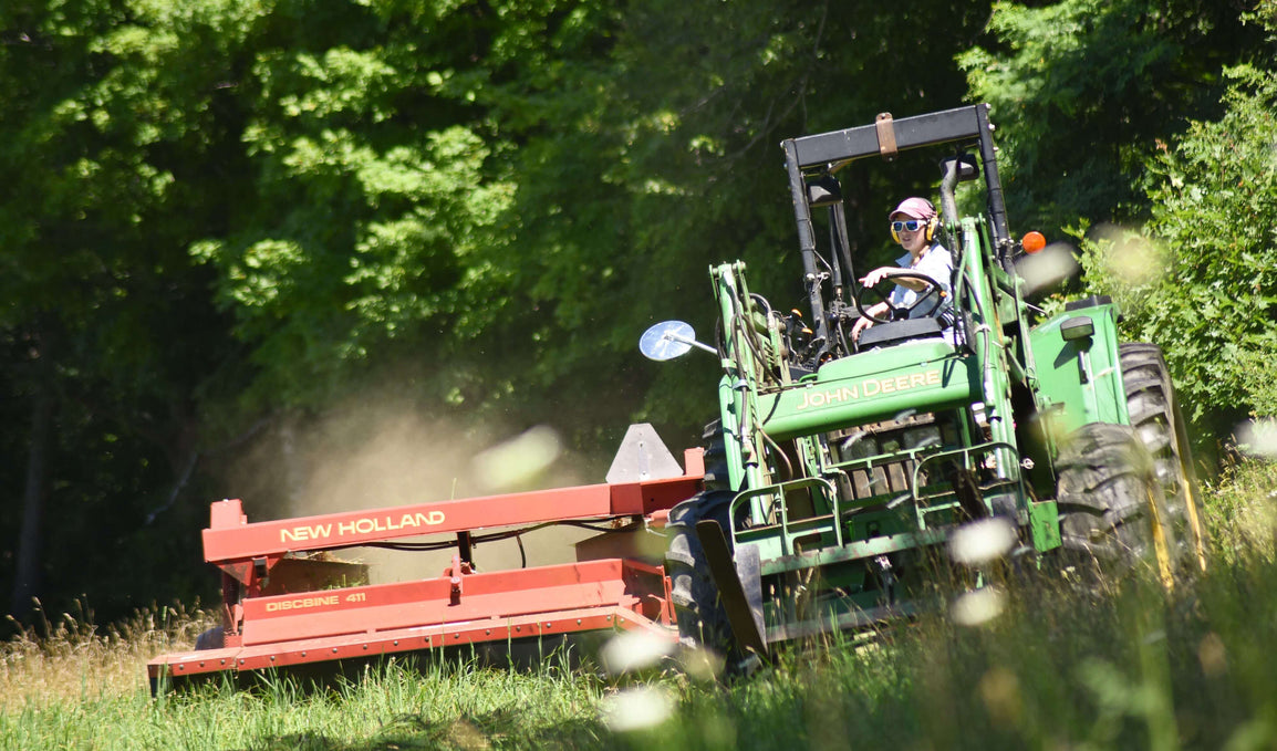 Cover Crops for Regenerative Farming