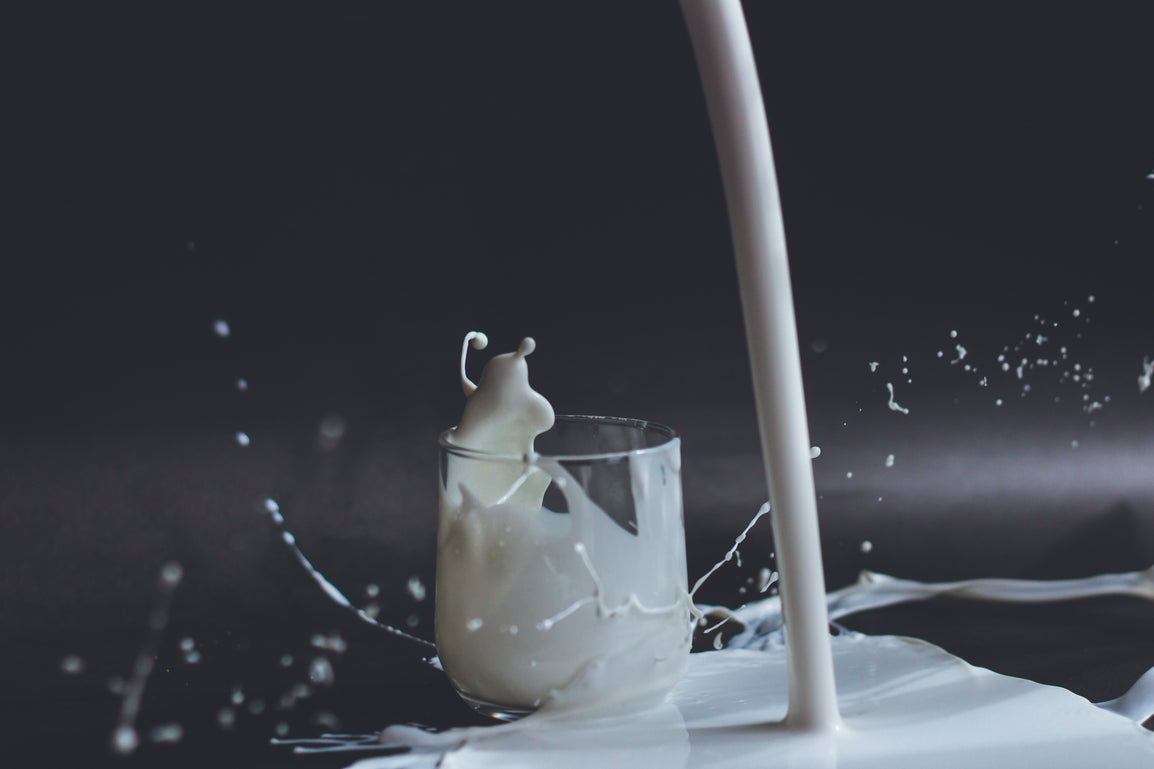 Can You Drink Milk on Carnivore Diet?