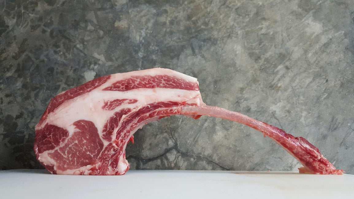 Carnivore Diet Autoimmune Disease