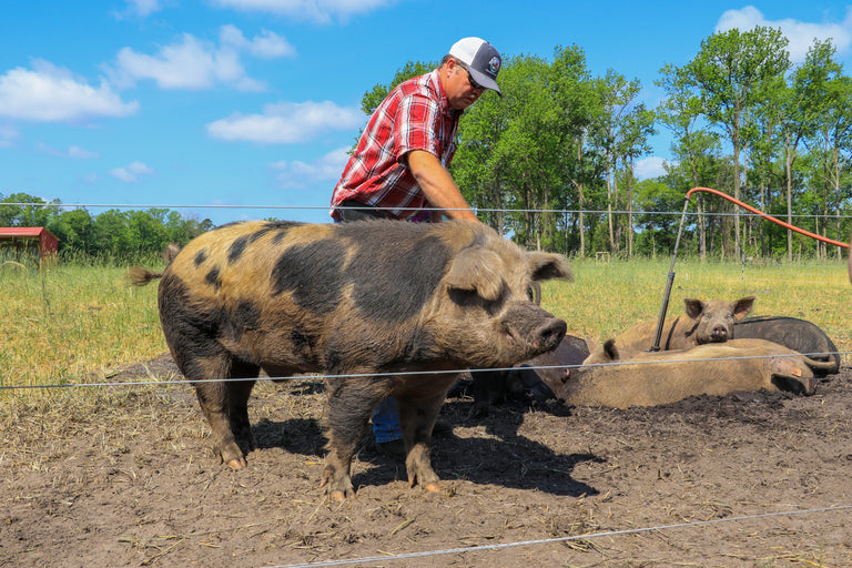 Is Regenerative Farming Profitable?