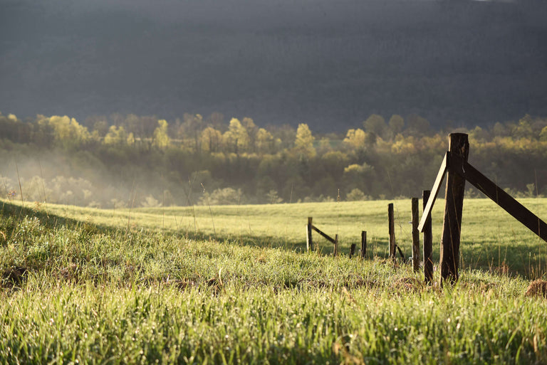 Regenerative Agriculture vs Agroecology