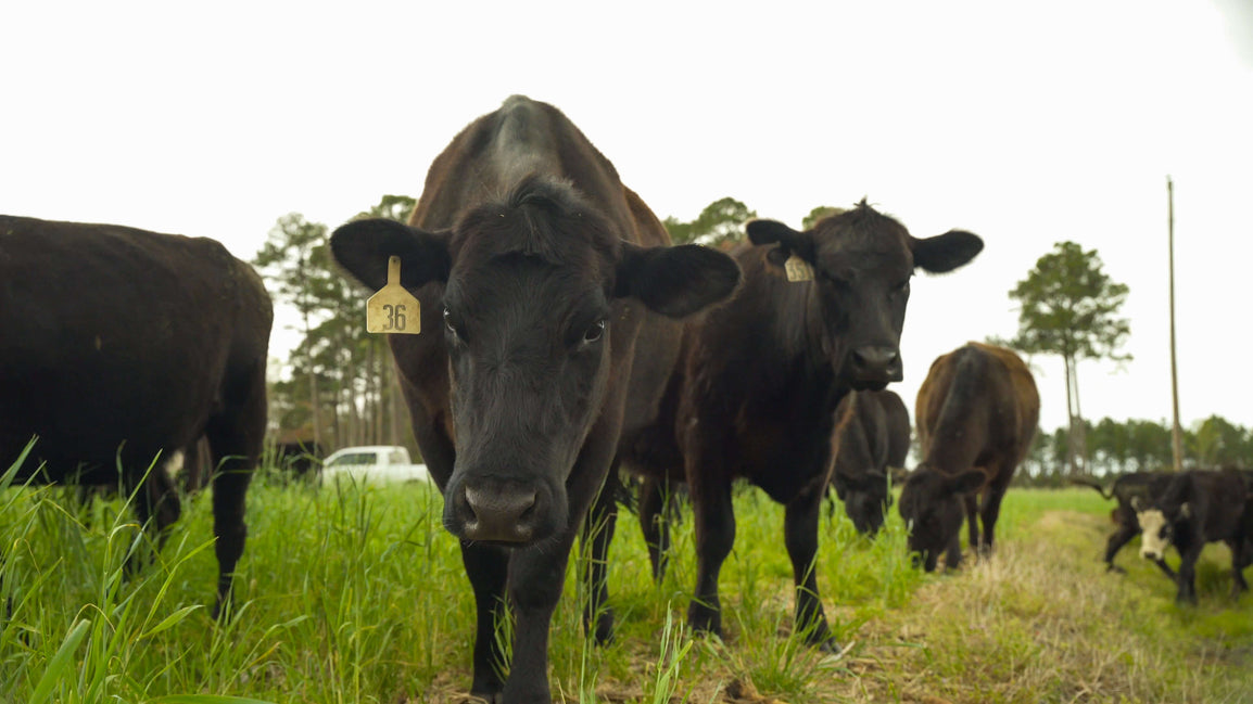 Regenerative Agriculture Fertilizer