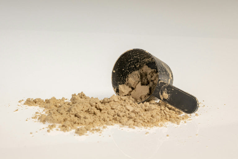 alternative to protein powder
