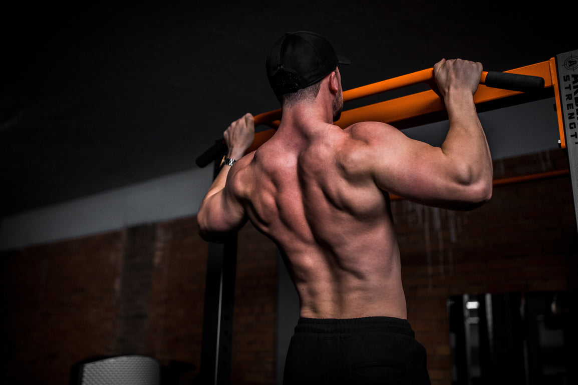 Does Carnivore Diet Increase Testosterone Does Carnivore Diet Increase Testosterone