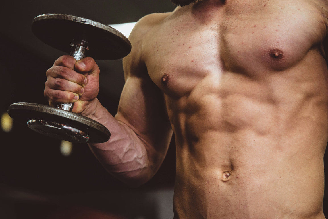 bulking on carnivore diet