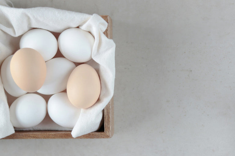 eggs alternative for protein