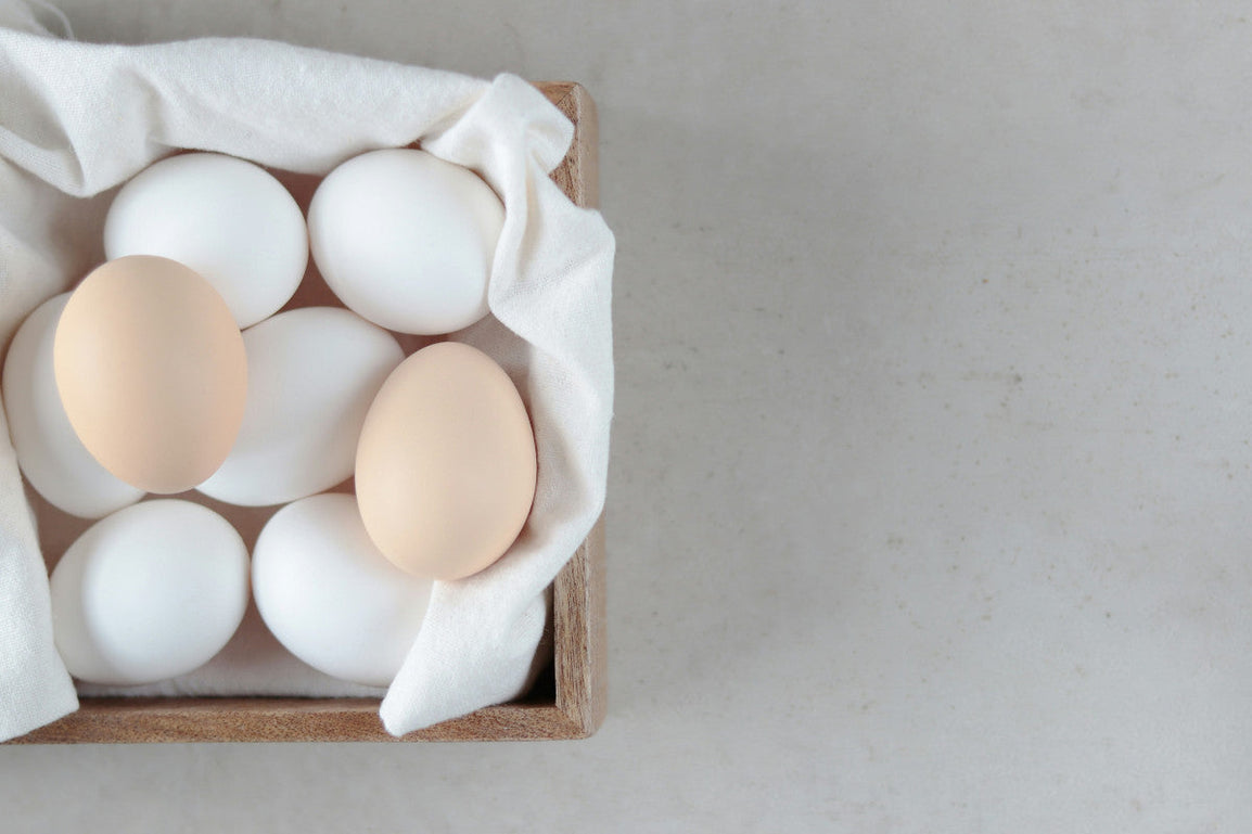 eggs alternative for protein