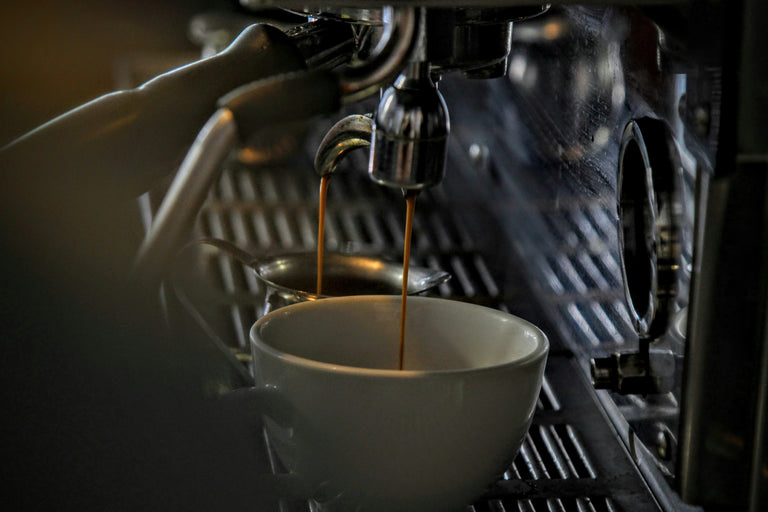 Can You Drink Coffee on Carnivore Diet?