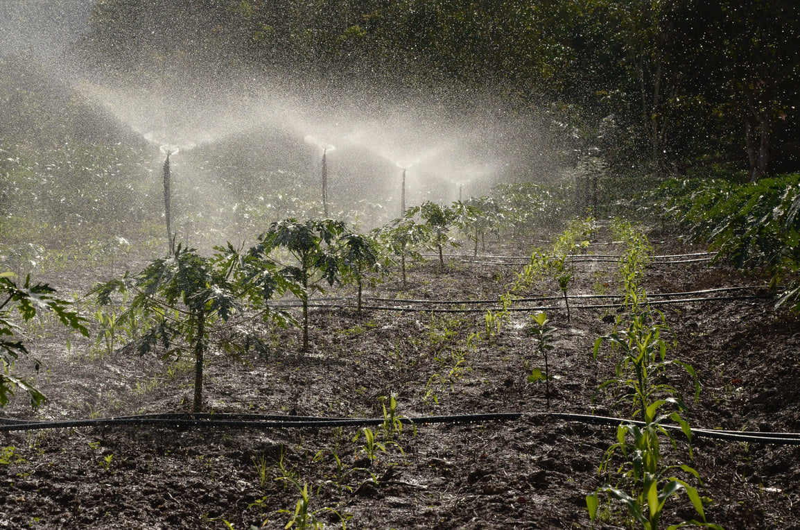 Water Benefits of Regenerative Agriculture