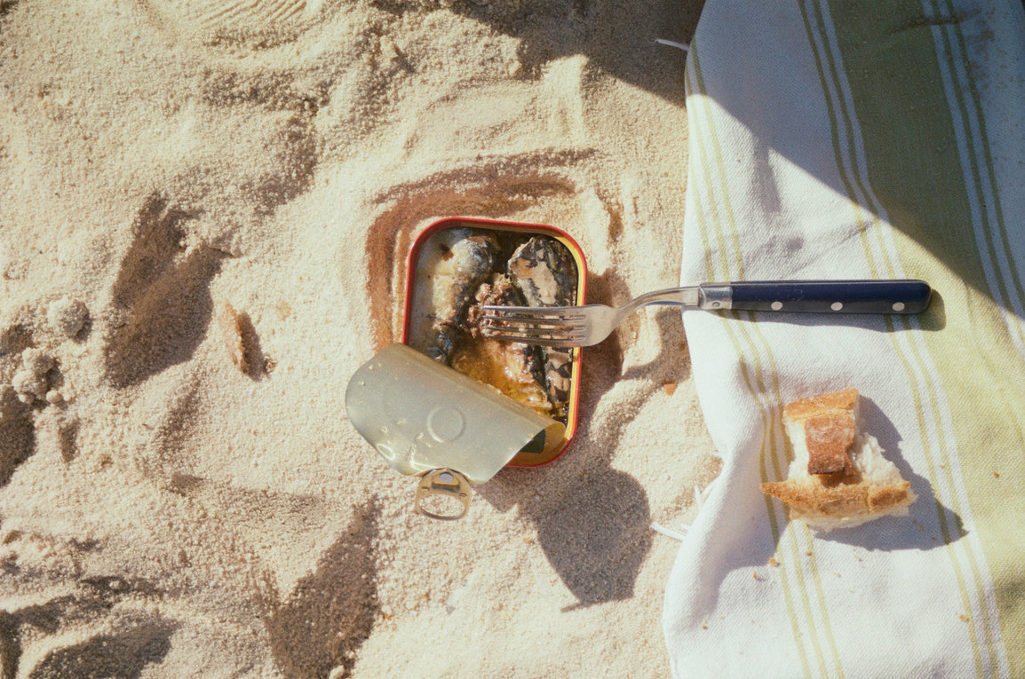 can you eat sardines on carnivore diet